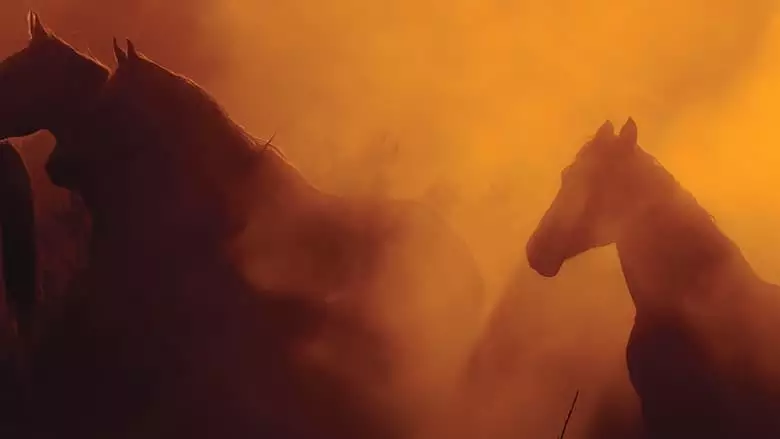 Wild Beauty: Mustang Spirit Of The West (2022)