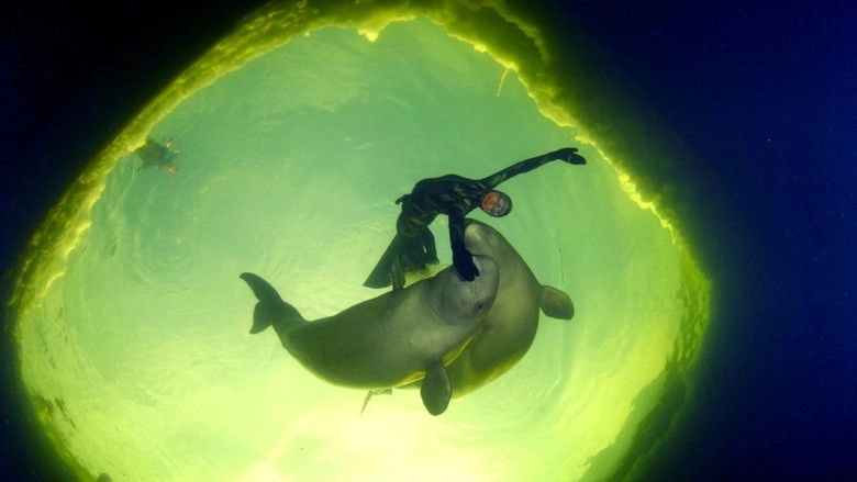 Born To Be Free (2017)