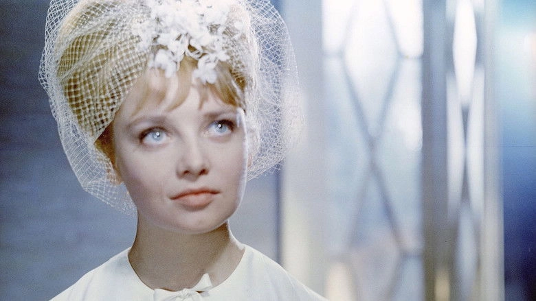 Korolevskaya Regata (1966)