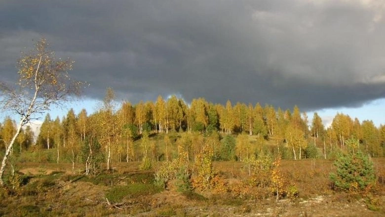 The Blue Hills (2006)