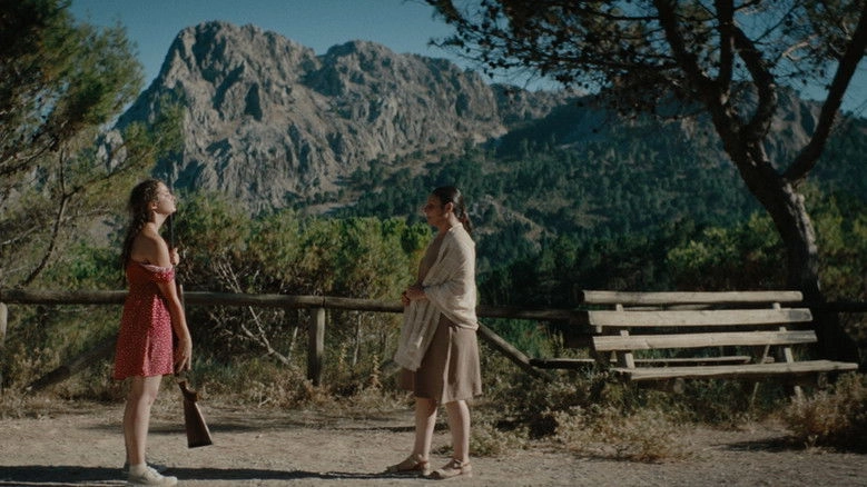 Tiempo Y Perdon (2024)