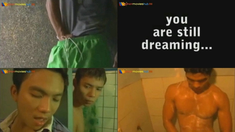 Koverboyz Fantasies (2008)