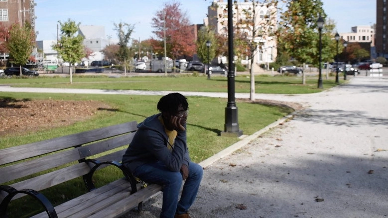 Park Birds (2020)