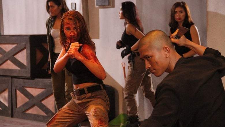 10: The Secret Mission (2017)