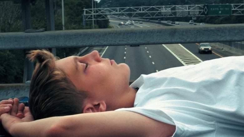 L.I.E. (2001)