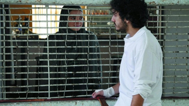 Habi, La Extranjera (2013)