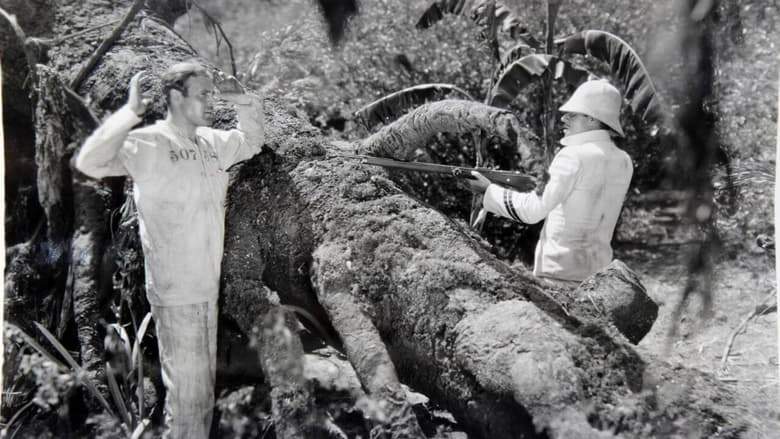 Hell's Island (1930)