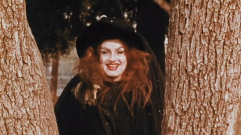 Health: The Dirt-Witch Cleans Up! (1971)