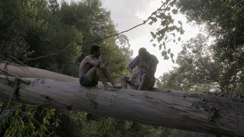 Para Norte (to The North) (2023)