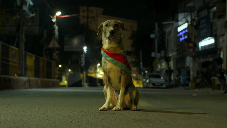 Ohh My Dog (2026)