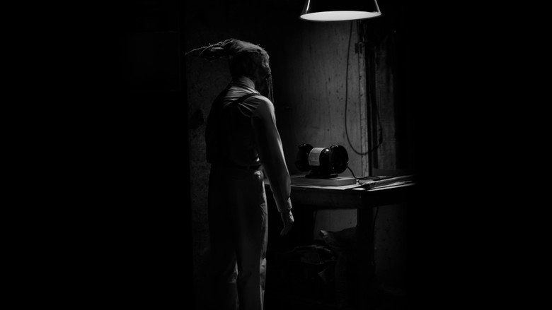 The Hollow Rabbit (2025)