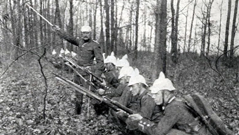 The Crimson Wing (1915)