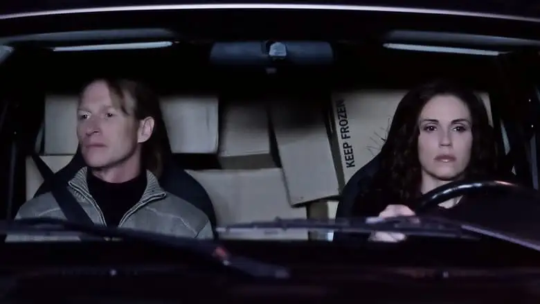 Nikki And The Perfect Stranger (2013)