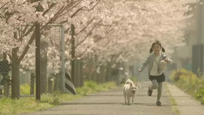 Show Me The Way To The Station (2019)