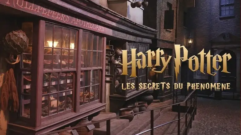 Harry Potter : Les Secrets Du Phenomene (2023)