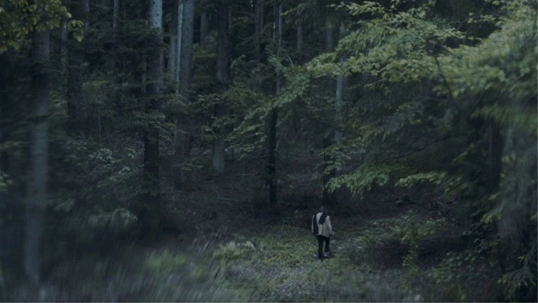 The Luminous View (2021)