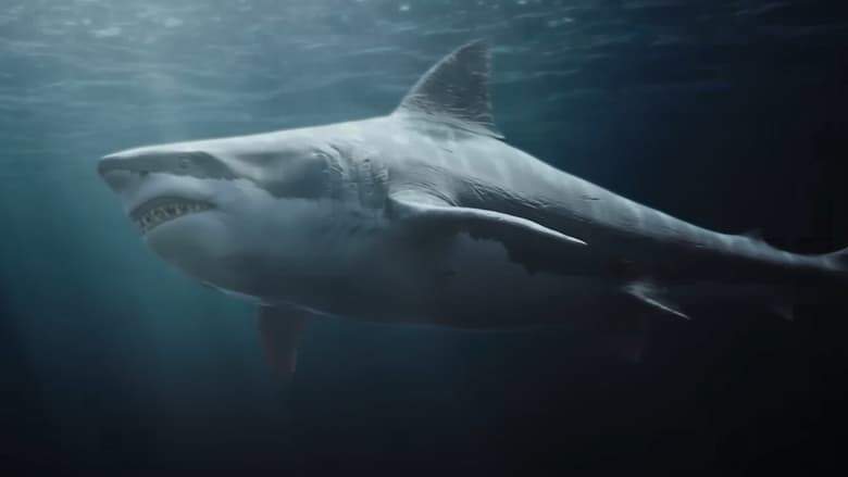 Killer Shark (2021)