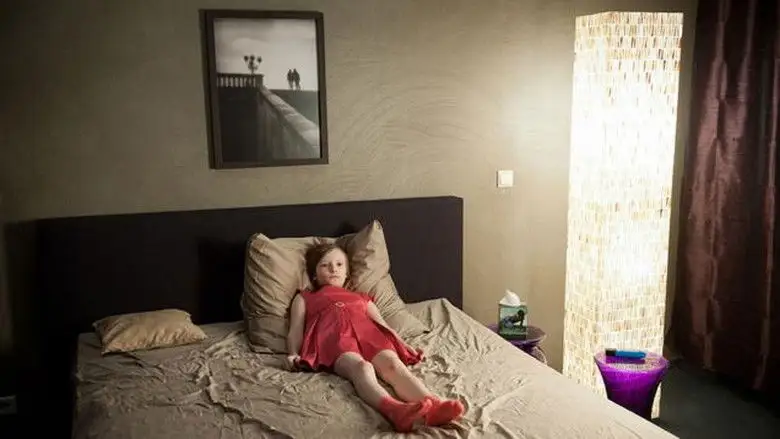 Operation Sugar (2013)