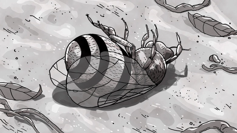Vortex 31 (2019)