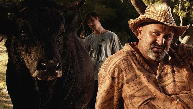 Sonja And The Bull (2012)