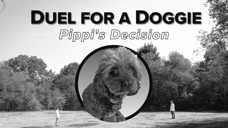 Boston Johnny (2023)