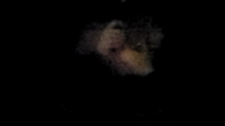 Lurker (2021)