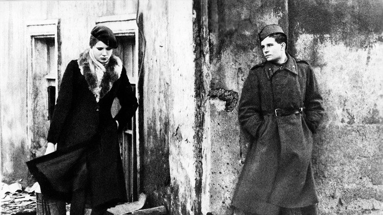 Zvezdopad (1981)