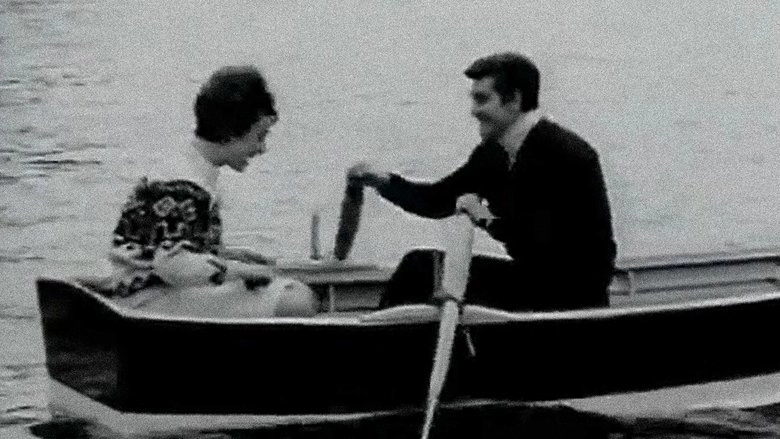 Seni Seviyorum (1966)