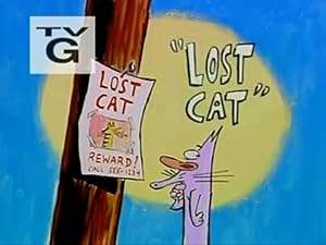 Lost Cat (2000)
