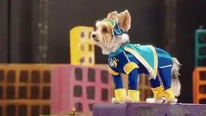 Captain K9 (2018)
