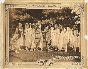 The Salamander (1916)