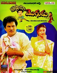 Brahmachari Mogudu (1994)
