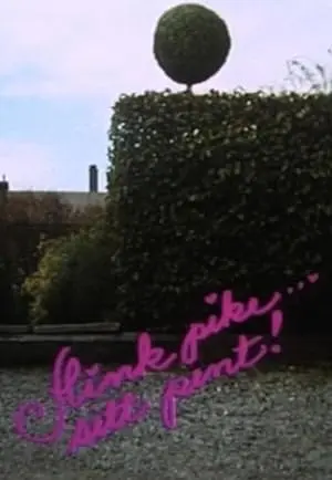Flink Pike - Sitt Pent! (1991)