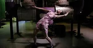 The Plumber's Waltz (2001)