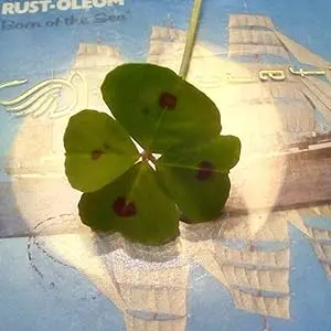 Irish Whiskey (1997)