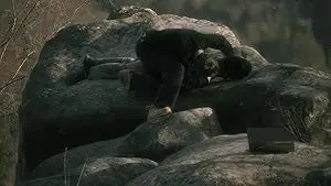 The Wanderer (2023)