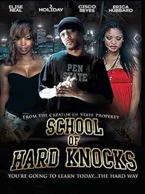 School Of Hard Knocks (2013)