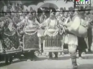 Bacilo (1905)