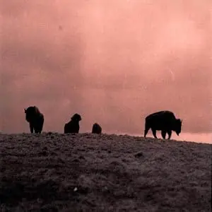 Buffalo Dreams (2013)
