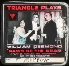 Paws Of The Bear (1917)