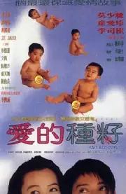 Fait Accompli (1994)