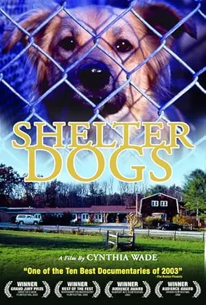 Shelter Dogs (2003)