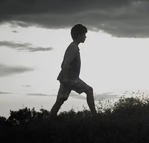 Zafo (2014)
