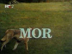 Mor (1992)
