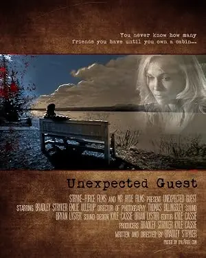 Unexpected Guest (2012)