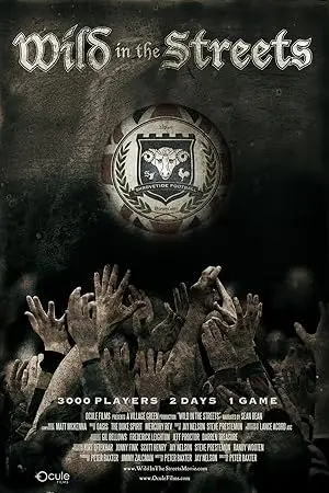 Wild In The Streets (2013)