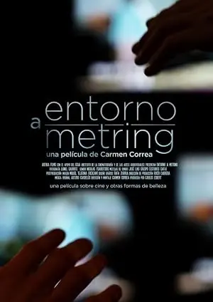 Entorno A Metring (2011)