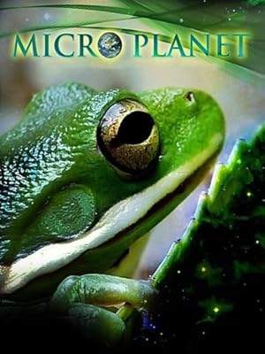 MicroPlanet 3D (2012)