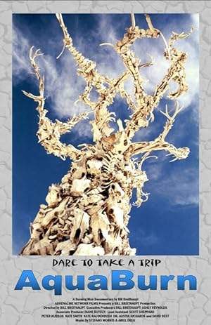 Aqua Burn (2003)
