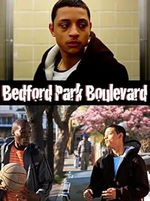 Bedford Park Boulevard (2010)